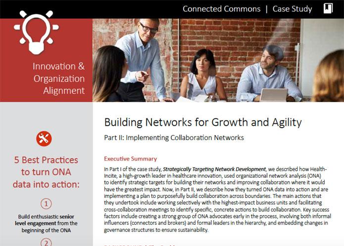 Case Study: Building Networks for Growth and Agility (Part II)